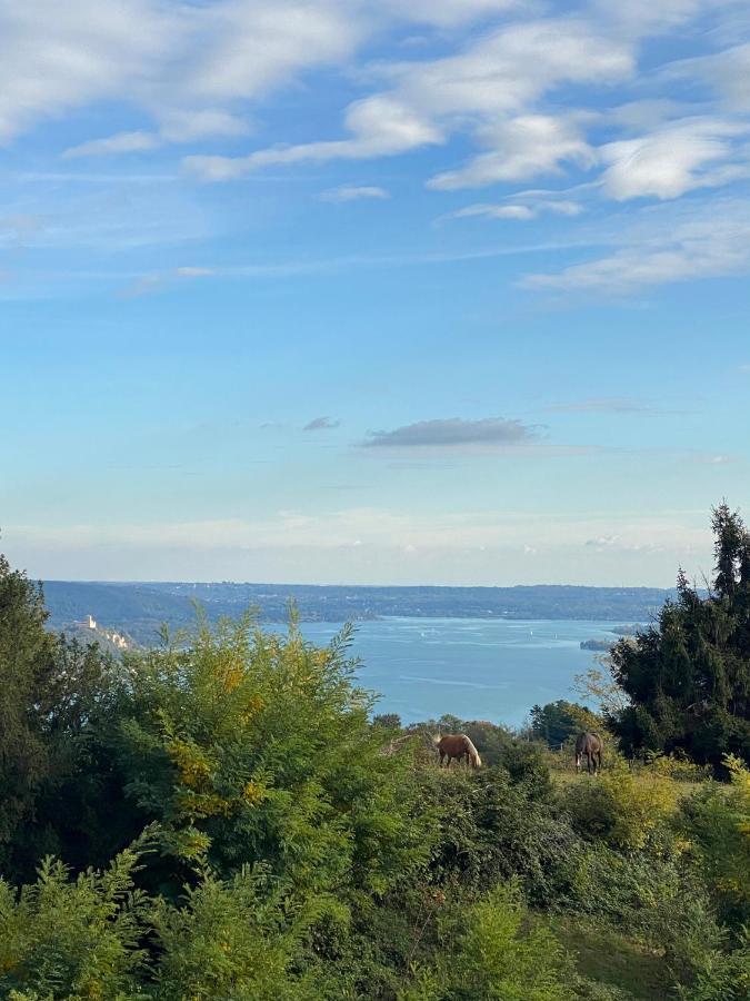 La Garconnierre Del Lago Maggiore Nebbiuno Exterior photo
